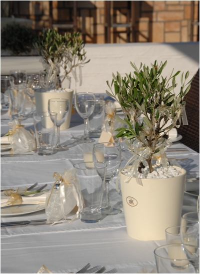 Table with olive tree