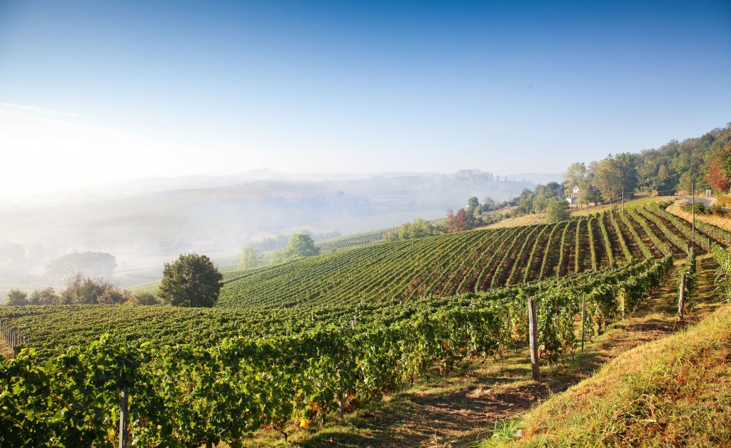 Piemont Weinlandschaft Italien 