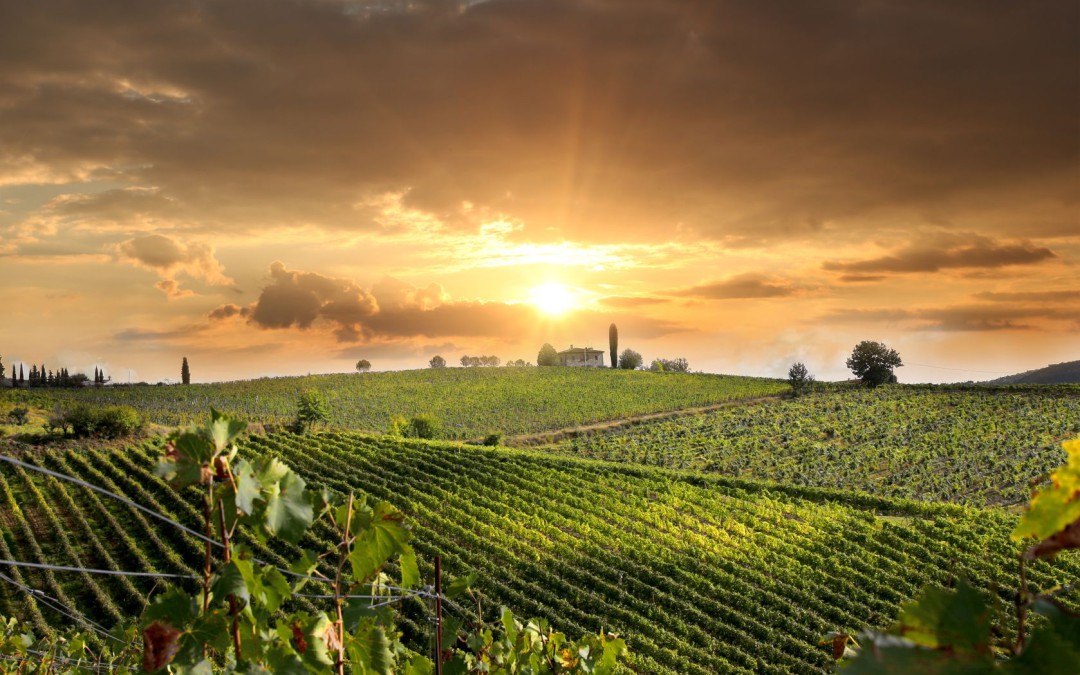 Heiraten im Weinbaugebiet Valpolicella